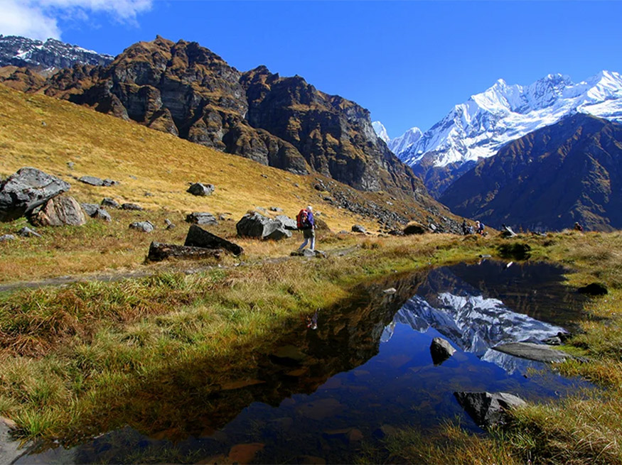 Immersive Experiences from Around Globe