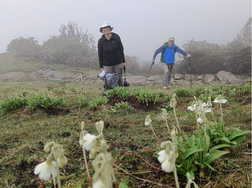 Spring 2024 June 1st to 27 Makalu-Barun, Saldim Valley Nature Diversity Research